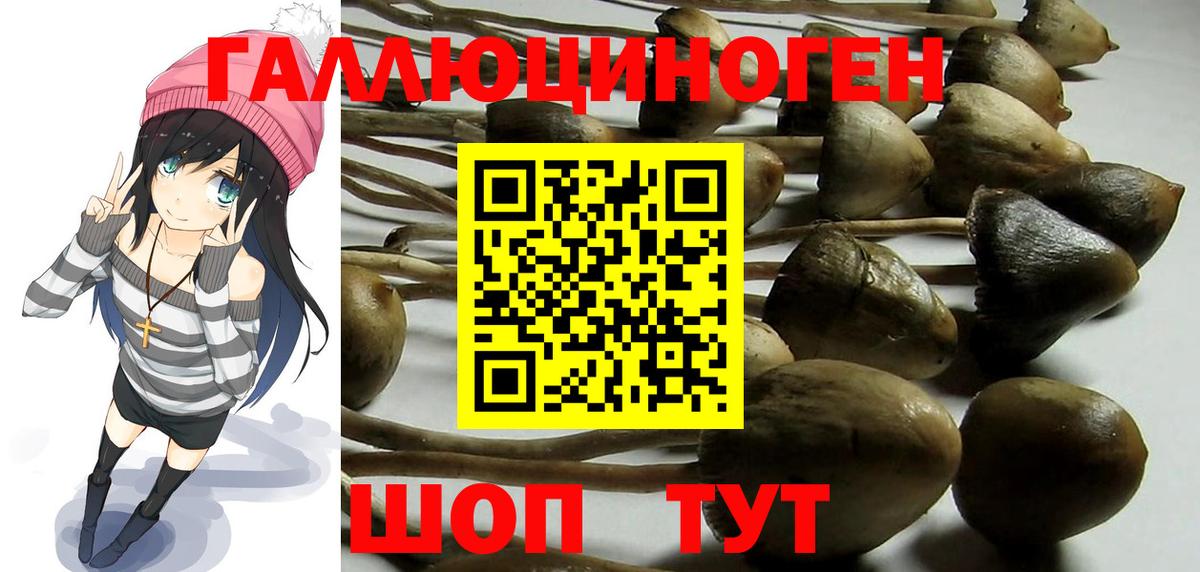 Галлюциногенные грибы MAGIC MUSHROOMS Янаул
