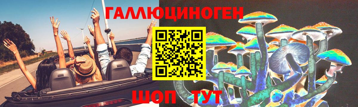 Янаул  Псилоцибиновые грибы Psilocybe  Вход с VPN 